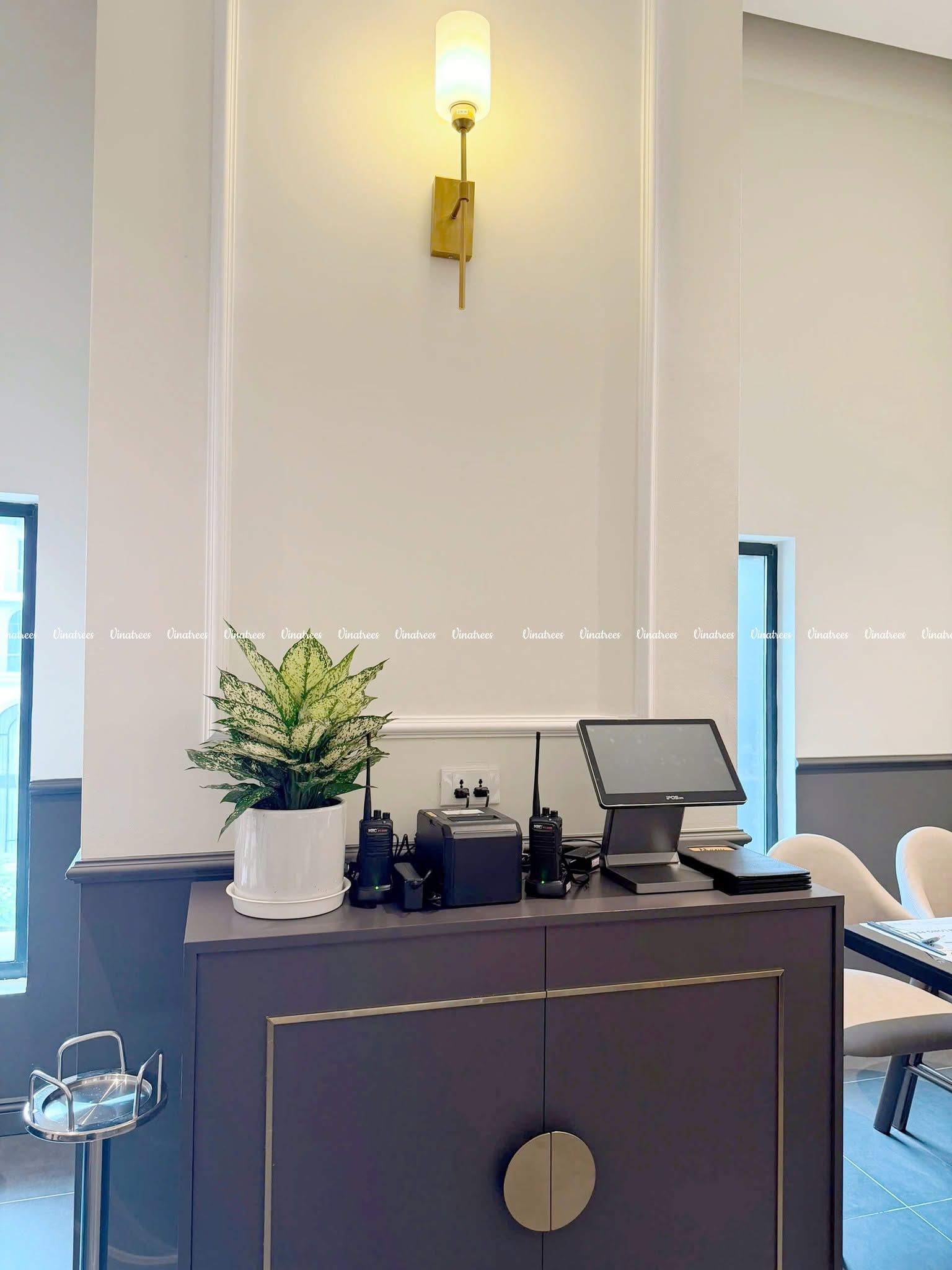 Vinatrees dịch vụ cho thuê cây cảnh văn phòng tại Hà Nội